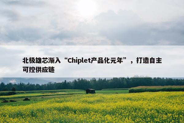 北极雄芯渐入“Chiplet产品化元年”，打造自主可控供应链