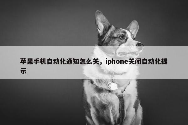 苹果手机自动化通知怎么关，iphone关闭自动化提示